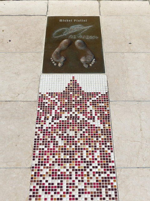 单以一项因 单以一项因