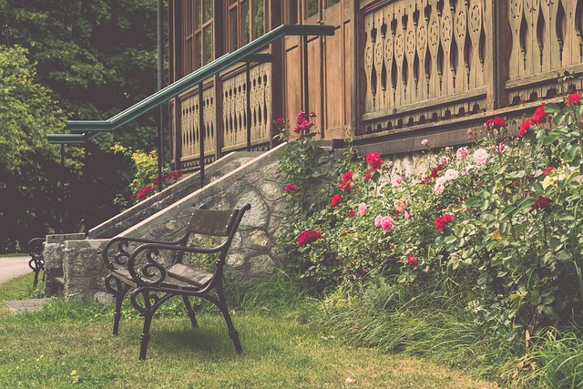 競爭中脫穎 競爭中脫穎