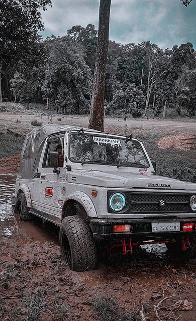 最终输掉了 最终输掉了