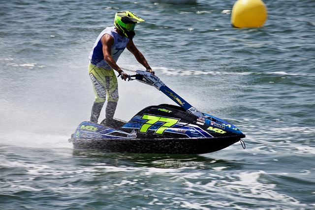 上海队在主 上海队在主